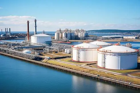 PTFE四氟V型组合填料